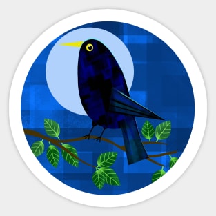 Blackbird at Night Sticker